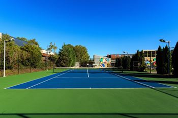 Tennis court